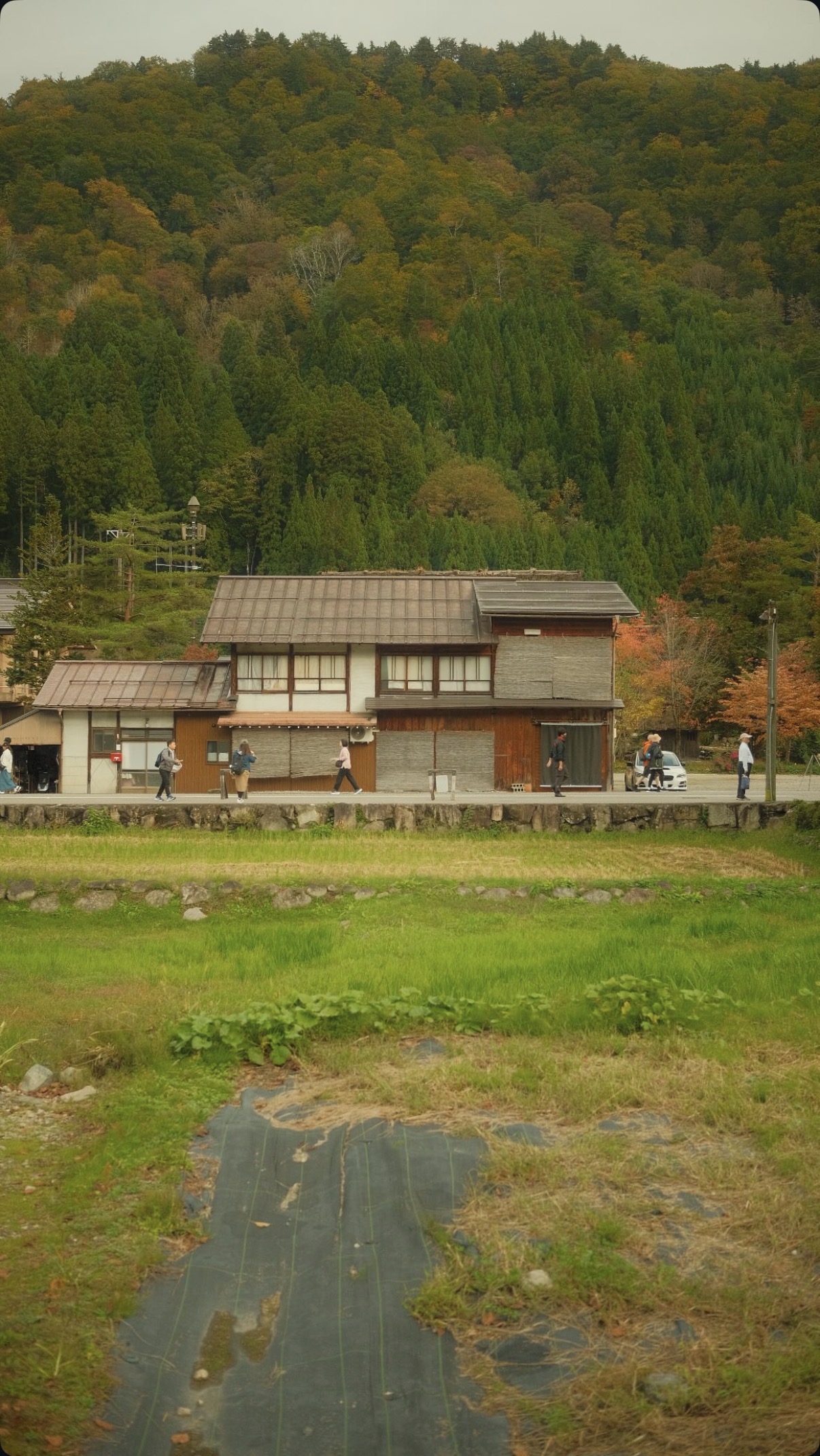 Japan